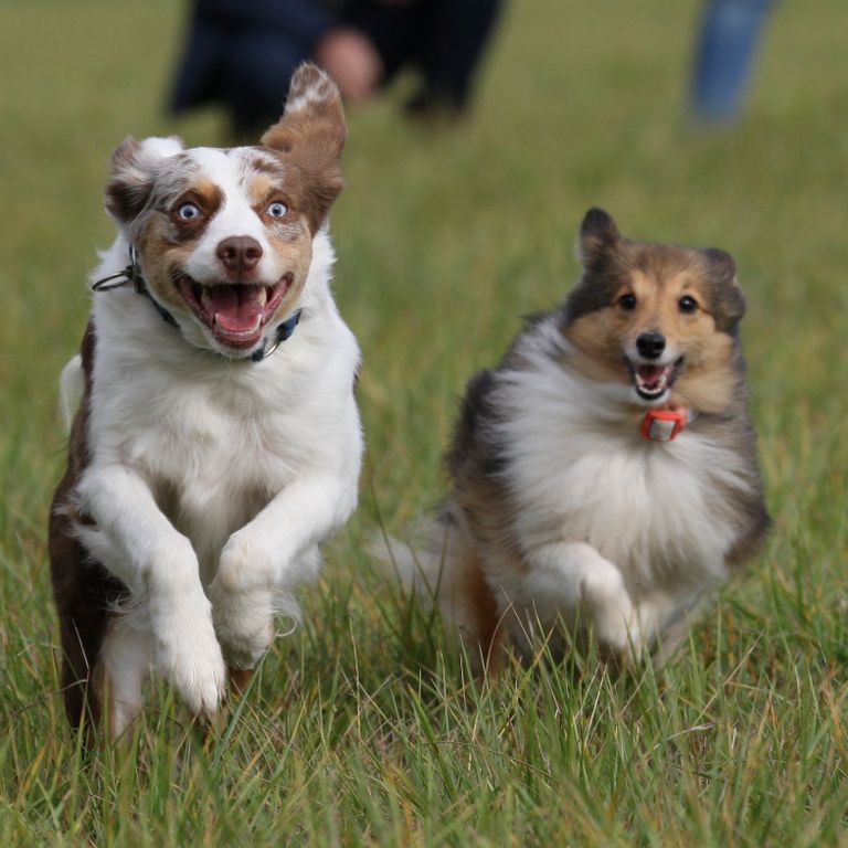 7. Foto Jochen Haupt, Sina & Lucy